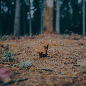 Brasas en Noches Monocromáticas