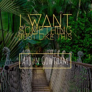 I Want Something Just Like This