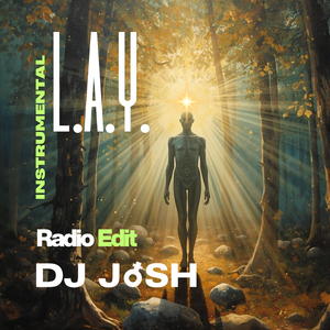 L.A.Y. Instrumental (Radio Edit)