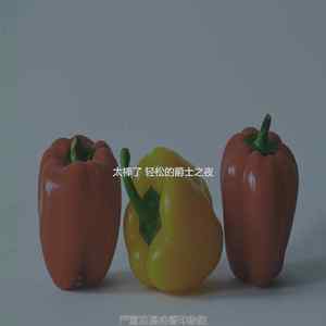 精彩浪漫打架环境