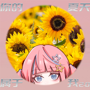 你的夏天属于我2.0（feat.洛天依）