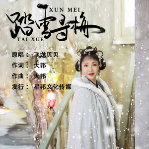 踏雪寻梅 (伴奏)