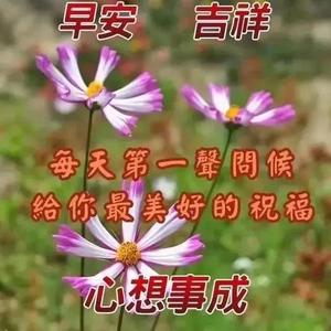 我很快乐（翻自 刘惜君）