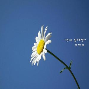 연애 실수투성이