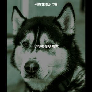 诗意的可爱的狗节奏