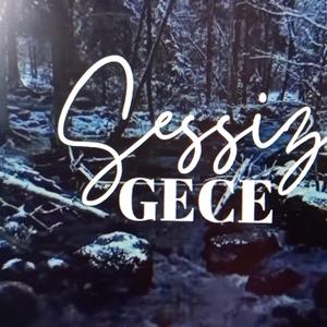 Sessiz gece
