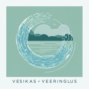 Tähtede poole (feat. Fofkin & VK) [Karmo Toome remix]