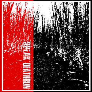 Minivan Is the Bastard