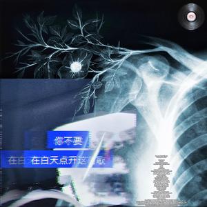 你不要在白天点开这首歌