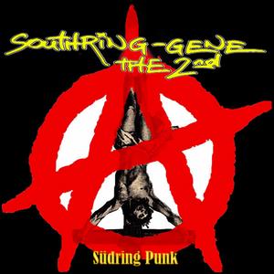 Notarzt 17 Uhr 15 Südring