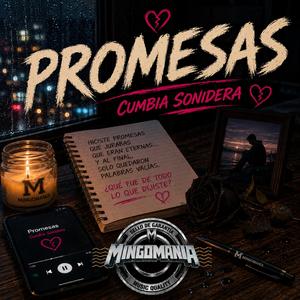 Promesas
