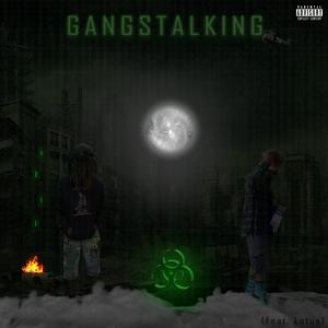 GANGSTALKING (feat. Soul Of Lotus)