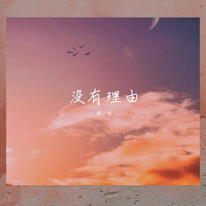 没有理由