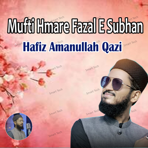Mufti Hmare Fazal E Subhan