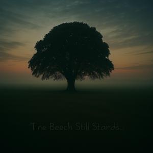 The Beech Still Stands...
