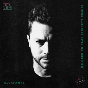 No Need To Play (Bigfett Remix)