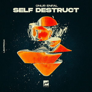 Self Destruct