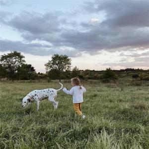 Scared Play Secret Place