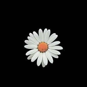 小宝(Prod Daisy Beat)