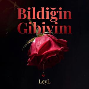 Bildiğin Gibiyim