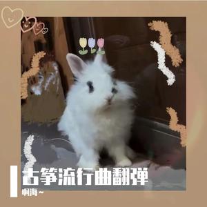 烟袋斜街（古筝版）.wav