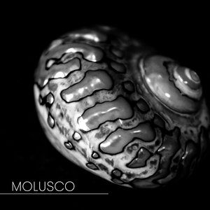 Molusco