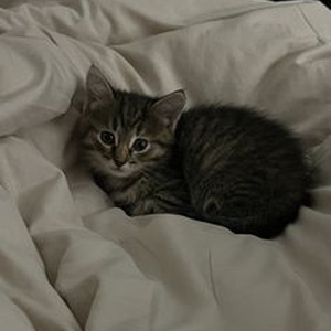 Christmas In My Heart (slowed)