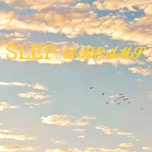 SLEP DREAM