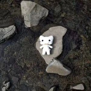 离你多远才是安全距离