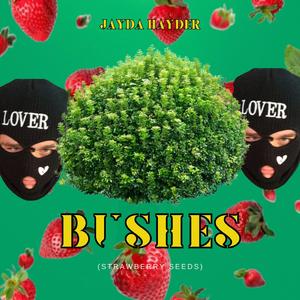 Bushes (Strawberry Seeds)