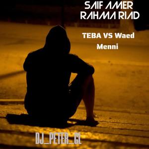 TEBA VS WAED MENNI