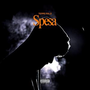 Spesa