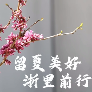 留夏美好，浙里前行