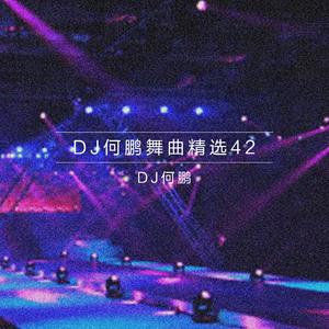 对不起(DJ Version)