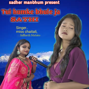 Tui humke bhule ja sathi
