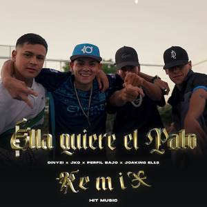 Ella Quiere el Palo (Remix)
