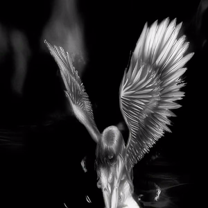 [Trap]遗忘-SASIOVERLXRD x BOBBYNOPEACE Type Beat