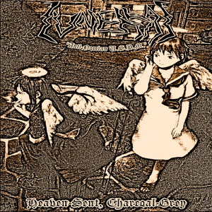 Wings Of Black And Death