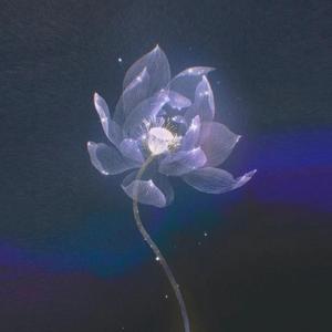 不如归去（观音心咒）