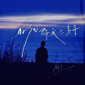 时间骗我太多年