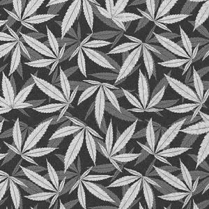 1008 （prod.A.k.a卡车王）