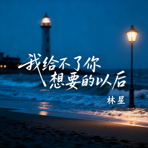 我给不了你想要的以后
