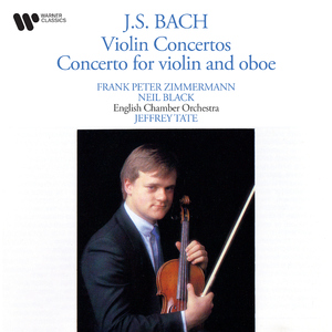 Violin Concerto No. 2 in E Major, BWV 1042:II. Adagio