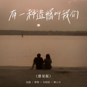 有一种遗憾叫我们 (群星版)