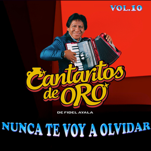 Pedazito de Mi Vida