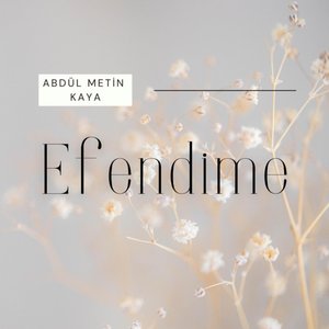 Medine'ye Varamadım