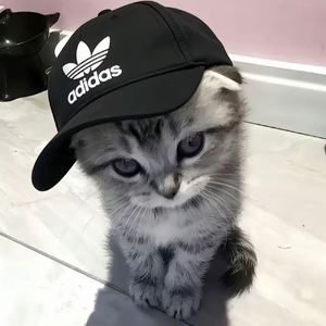 我们和好好不好