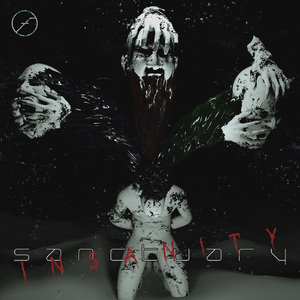 Sanctuary Insanity