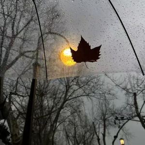 我害怕（原唱：薛之谦）