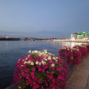 Иркутск омоет Ангара